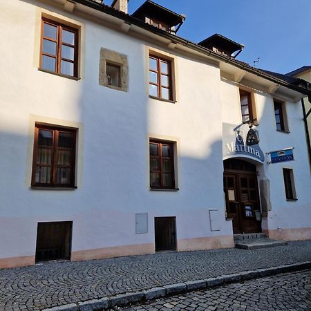 Pension U Martina Домажліце Екстер'єр фото
